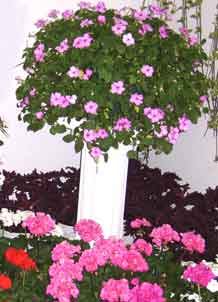 alegrias del hogar
