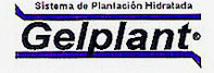 gelplant