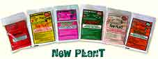 new-plant